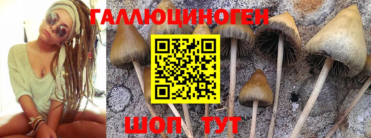 Дзержинск  Галлюциногенные грибы GOLDEN TEACHER  Вход с VPN 