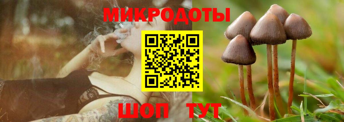 Псилоцибиновые грибы мицелий Дзержинск